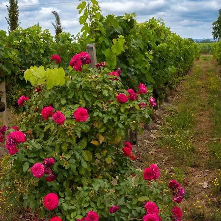 Couette-café Chateau Vieux Clos Emilion *