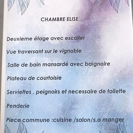 Bed & Breakfast Chateau Vieux Clos Emilion