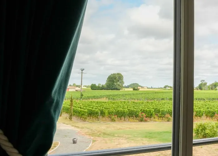 Château Vieux Clos émilion Saint-Émilion